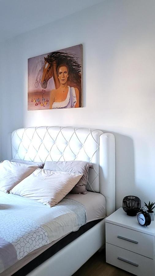 Apartman Crown Vrnjacka Banja Exterior photo